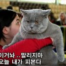 반여농산물도매시장 동문 앞(61) | 부산 대진여객 시내버스 189-1번 버스노선 정보