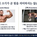 건강한 100세 뉴트리 | [건강한 젊음 유지] 근육량보다 중요한 '근력'