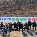 은비치농장 이미지