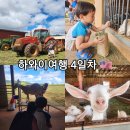 지누농장 | [생후35개월 아이랑 하와이여행] 4일차🇺🇸/염소농장 'Sweet Land Farm'/평화로움 그 자체