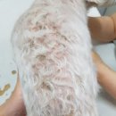 청담아이윌동물병원 이미지