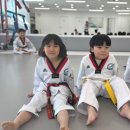 한별 용인대 소나무향기 태권도장 | 시립한별어린이집, 좋은 선생님을 만났을 때 보이는 아이의 반응 3가지