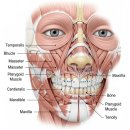 연세미소드림치과의원 | 비수술 주걱턱 교정, 강남 미소드림치과 3년 기록