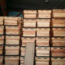 꿀벌자동차공업사 이미지