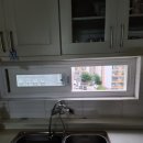 국제백양 이미지