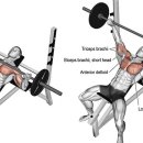 제이엠 휘트니스 신성점 이미지