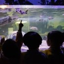 거북호텔 이미지