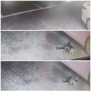펫톡 이미지