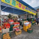 주왕산 한우농장 네이버블로그