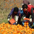 봉옥농장 이미지