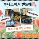 다낭 공항 픽업 아로마 마사지 시원했던 루나스파
