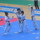 동양초등학교 | 태권도 대회에서 1등을 만든 이야기” 화성시 남양읍 태권도 남양초등학교 동양초등학교 대양초등학교