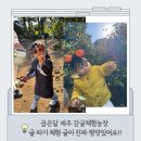 곱은달집 | 제주 감귤체험 여기로 가세요! 곱은달 감귤 체험농장 제주!