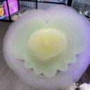 솜사탕노래타운 - 울주군 온양로 162-6 | 솜사탕노래타운