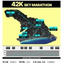 동해시-47 | 2025 동해 스카이 레이스 21k 후기