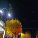 박병석농장 이미지