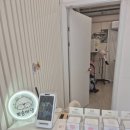 중앙애견미용 | 예민한 아이도 편안했던 용인애견미용 솔직 후기