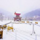 서울목장 이미지