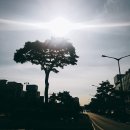 안산시립예술단 상설공연, 수요일 수려한 콘서트 | 2018년 1월 5주 경기 남부 소식 과천시 광명시 광주시 부천시 성남시 시흥시 안산시 안양시 의왕시 하남시