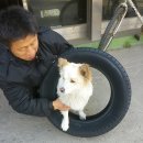 사우타이어 이미지