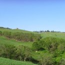 하늘아래목장 이미지