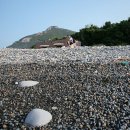 요월정 화장실 이미지