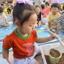 💛🤎맑은샘물반 벼 project ⋆⁺₊⋆꙼̈♥ 볍씨를 심어 보았어요🌾🧡🤎 이미지