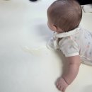 로아캣 | 이누아 아기매트 3면 라운딩 사용 후기 및 할인구매 방법!