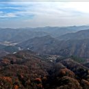 상관 공기마을 편백숲 이미지