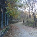 영신자전거 이미지