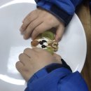 생태교육 | 생태티어링교육_씨앗탐정단 활동 후기(광주시영종합사회복지관)