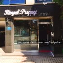 로열 퍼피샵 이미지