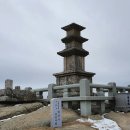 진달래화원 이미지