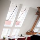 인터펫코리아 이미지