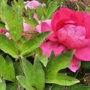 석남3동행정복지센터 이미지