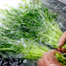 미나리슈퍼 이미지