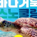 구명카써비스 이미지