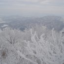 1월27일 (일) 황악산 / 직지사 눈꽃 산행 이미지