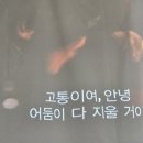 아집상사 | 30살이 가까워지며 11년만에 다시본 비긴어게인 감상문