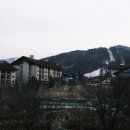 모닝밀 티스토리