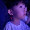 제주 스카이워터쇼 이미지