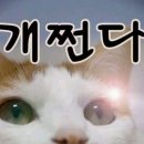 (주)가자고투어