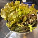 이모네곱창 | [강남구] 논현동 곱창 맛집 이모네왕곱창 솔직 후기