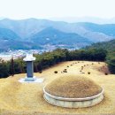 대도