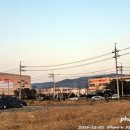 365식자재할인마트