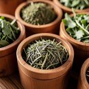 공단 비소 제001호 | 찌뿌둥함 이젠 안녕! 대윤한방병원 체험 후기 나갑니다