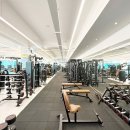 스파렉스 공릉 이미지