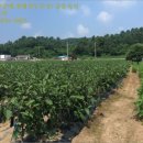 광판보건진료소 이미지