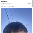 헤어갤러리 이미지