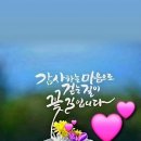 향기좋은날